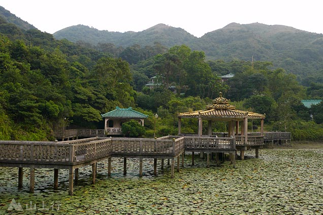 Lung Tsai Ng Yuen